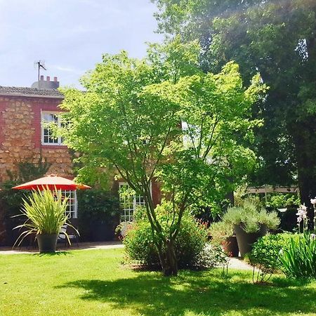 Bed & Breakfast La Clepsydre Fontenay-aux-Roses Exterior foto